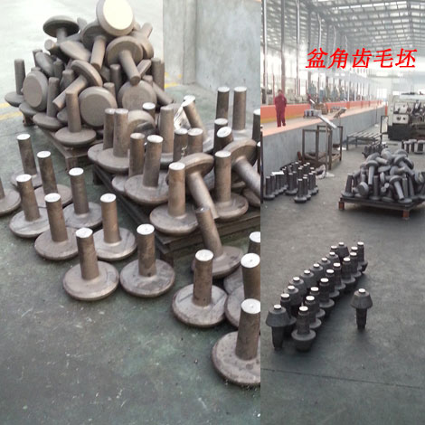 盆角(jiǎo)齒毛坯(pi)